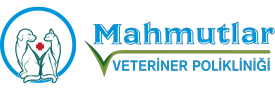 MAHMUTLAR VETERİNER KLİNİĞİ | Alanya